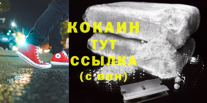 сколько стоит  Карпинск  Кокаин Fish Scale 