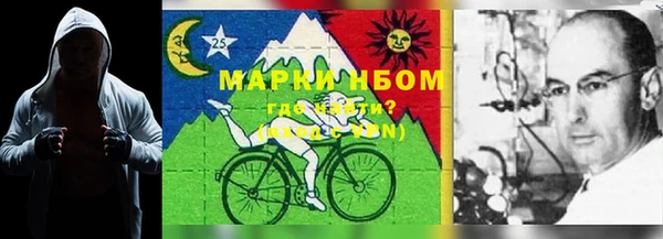мдпв Кадников