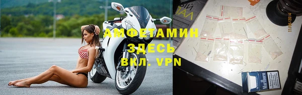шишки Осинники