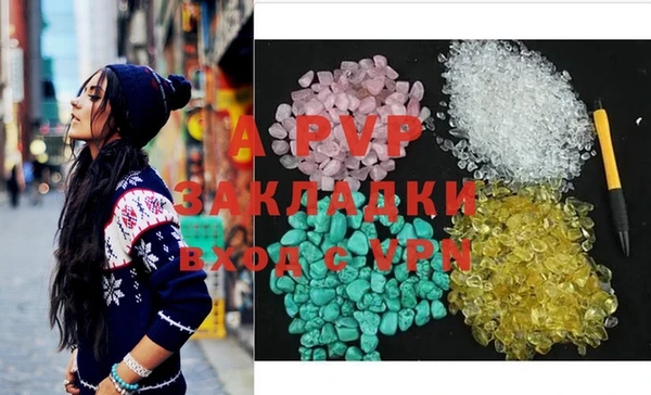 шишки Осинники