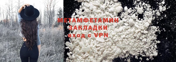 шишки Осинники