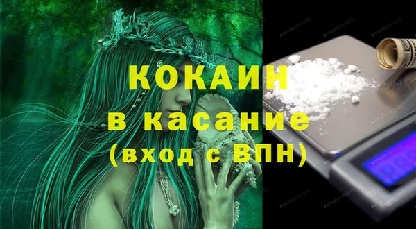 шишки Осинники