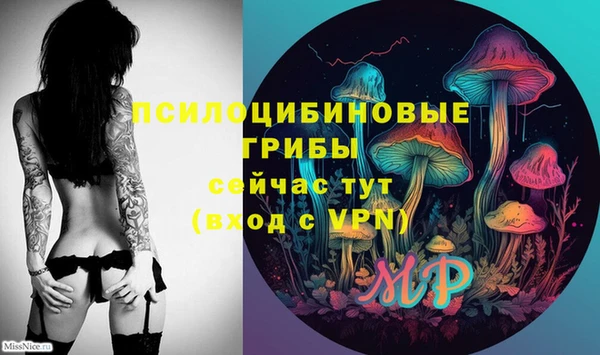 шишки Осинники