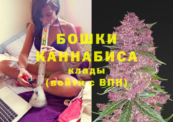 шишки Осинники
