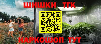 гашик Волжский