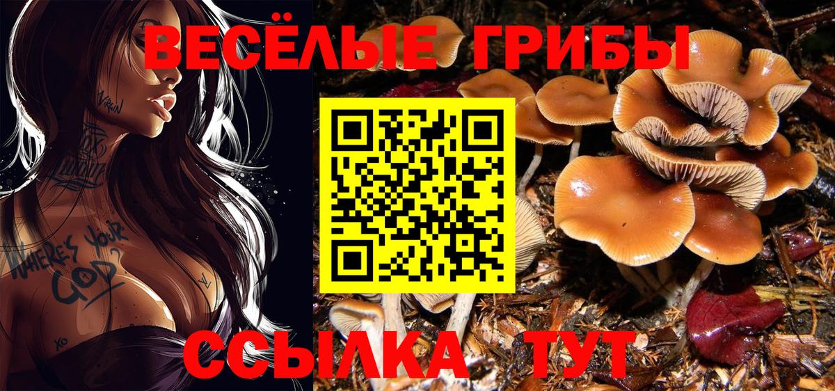 Галлюциногенные грибы MAGIC MUSHROOMS Карпинск