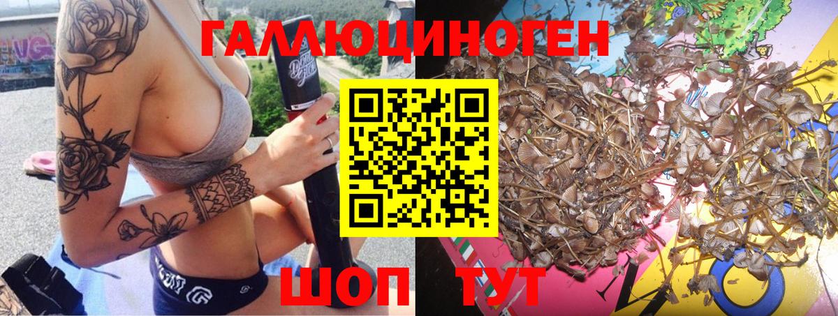 Псилоцибиновые грибы GOLDEN TEACHER  купить наркотик  Карпинск  Вход с VPN 